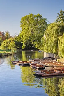 UK, England, Cambridge, River Cam, The Mill Pond, Punts UK, England, Cambridge, River Cam, The Mill Pond, Punts