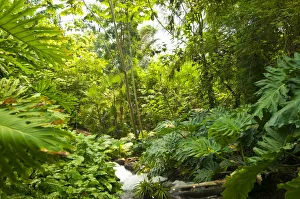 Eden Project Print, Cornwall, England UK