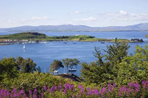 UK, Scotland, Argyll, Oban, The Sound of Kerrera UK, Scotland, Argyll, Oban, The Sound of Kerrera