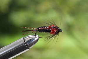 UK. A trout fishing fly simulating a nymph secured in a fly-tying vice UK. A trout fishing fly simulating a nymph secured in a fly-tying vice