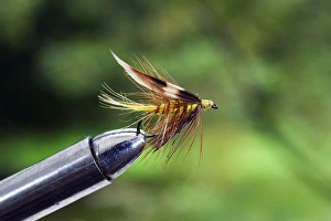 UK. A trout fishing wet fly known as an Invicta secured in a fly-tying vice UK. A trout fishing wet fly known as an Invicta secured in a fly-tying vice