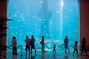 United Arab Emirates, Dubai, The Atlantis Palm Hotel United Arab Emirates, Dubai, The Atlantis Palm Hotel
