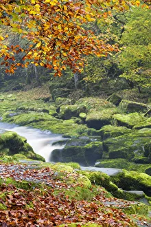 United Kingdom, England, North Yorkshire, Skipton United Kingdom, England, North Yorkshire, Skipton