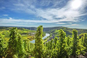 Urzig with the new Mosel bridge, Mosel valley, Rhineland-Palatinate, Germany Urzig with the new Mosel bridge, Mosel valley, Rhineland-Palatinate, Germany