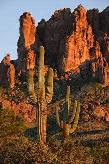 USA, Arizona, Southwest, Apache Junction, Lost Dutchman State Park, Superstition mountains USA, Arizona, Southwest, Apache Junction, Lost Dutchman State Park, Superstition mountains