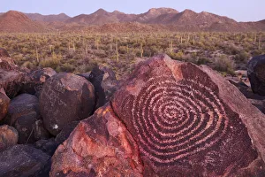 USA, Arizona, Tucson, Sonoran desert, Saguaro National Park, Ancient Petroglyph at dusk USA, Arizona, Tucson, Sonoran desert, Saguaro National Park, Ancient Petroglyph at dusk