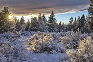 USA, Bend, Oregon, High desert in winter snow USA, Bend, Oregon, High desert in winter snow