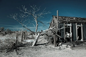 USA, California, Cima, Mojave National Preserve, abandoned Mojave Desert ranch, winter USA, California, Cima, Mojave National Preserve, abandoned Mojave Desert ranch, winter