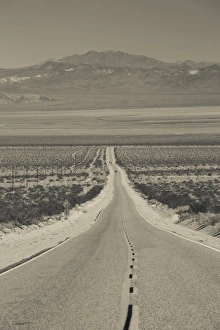USA, California, Mojave Desert, Amboy Road USA, California, Mojave Desert, Amboy Road
