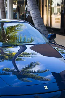 USA, Florida, Palm Beach, Worth Avenue, palm tree reflected in Ferrari sportscar USA, Florida, Palm Beach, Worth Avenue, palm tree reflected in Ferrari sportscar