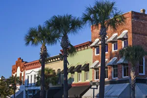 USA, Georgia, Brunswick, downtown buidings and palms USA, Georgia, Brunswick, downtown buidings and palms
