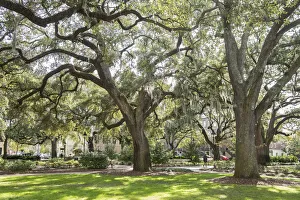 USA, Georgia, Savannah, a square in the city USA, Georgia, Savannah, a square in the city