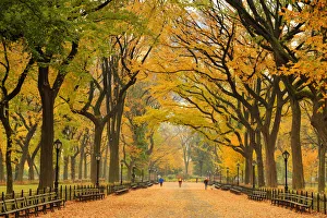 USA, New York City, Manhattan, Central Park, The Mall USA, New York City, Manhattan, Central Park, The Mall