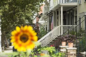 USA, New York, Park Slope, Brooklyn street USA, New York, Park Slope, Brooklyn street