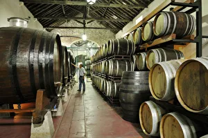 Venancio da Costa Lima wine cellars. Quinta do Anjo, Portugal Venancio da Costa Lima wine cellars. Quinta do Anjo, Portugal
