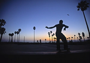 Los Angeles Beaches Prints: Venice Beach