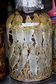 Vietnam, Hue, Preserved Frogs in Traditional Medicine Shop Vietnam, Hue, Preserved Frogs in Traditional Medicine Shop