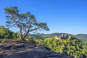 View at Alt-Dahn castle group near Dahn, Palatinate forest, Rhineland-Palatinate, Germany View at Alt-Dahn castle group near Dahn, Palatinate forest, Rhineland-Palatinate, Germany