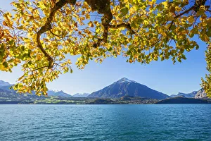 View over Lake Thun on Spiez and Niesen mountain, Berner Oberland, Switzerland View over Lake Thun on Spiez and Niesen mountain, Berner Oberland, Switzerland