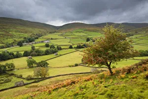 View over rolling countryside in Swaledale, Yorkshire Dales National Park View over rolling countryside in Swaledale, Yorkshire Dales National Park