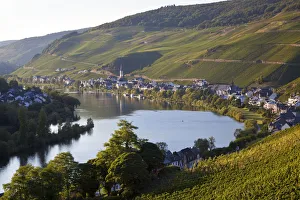 View over vineyards & Mosel River towards Kaimt Mosel Village, Mosel Valley View over vineyards & Mosel River towards Kaimt Mosel Village, Mosel Valley