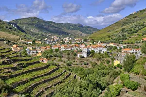 Vilarinho dos Freires, a village on the banks of the river Tanha Vilarinho dos Freires, a village on the banks of the river Tanha