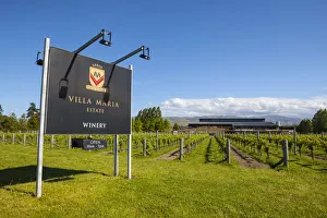 Villa Maria Estate, Blenheim, Marlborough, South Island, New Zealand Villa Maria Estate, Blenheim, Marlborough, South Island, New Zealand