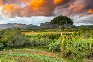 Vinales Valley at sunset, Pinar del Rio Province, Cuba Vinales Valley at sunset, Pinar del Rio Province, Cuba