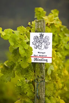 Vineyard Sign, Bacharach, Rhine Valley, Germany Vineyard Sign, Bacharach, Rhine Valley, Germany