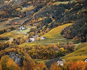 Vineyards and autumn landscape in Bolzen, Trentino Alto Adige, Italy Vineyards and autumn landscape in Bolzen, Trentino Alto Adige, Italy