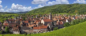 Vineyards around Riquewhir; Alsace, Alsatian Wine Route, Haut-Rhin, France Vineyards around Riquewhir; Alsace, Alsatian Wine Route, Haut-Rhin, France