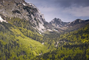 Julian Alps Scenic Views Prints: Vrsic Pass