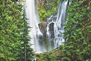 United States Natural Landmarks Prints: Waterfall Lower Proxy Falls - USA, Oregon, Lane, Lower Proxy Falls - Cascade Range