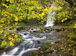 Waterfall on the River Caerfanell at Blaen-y-glyn, Brecon Beacons National Park, Powys Waterfall on the River Caerfanell at Blaen-y-glyn, Brecon Beacons National Park, Powys