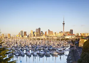Westhaven Marina & city skyline illuminated at sunset, Waitemata Harbour, Auckland Westhaven Marina & city skyline illuminated at sunset, Waitemata Harbour, Auckland