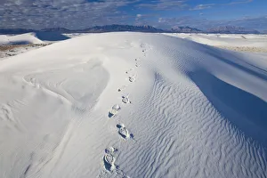 White Sands National Monument, New Mexico, USA White Sands National Monument, New Mexico, USA