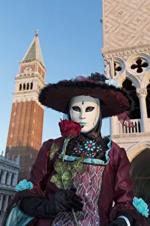 Woman in costume holding red rose during Carnival, Piazza San Marco (St Woman in costume holding red rose during Carnival, Piazza San Marco (St
