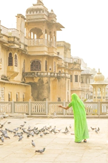 Woman feeding pidgeons, Udaipur, Rajasthan, India Woman feeding pidgeons, Udaipur, Rajasthan, India