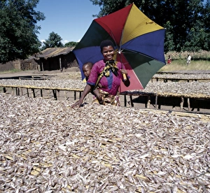 A woman shades her child as she inspects a rich fish A woman shades her child as she inspects a rich fish