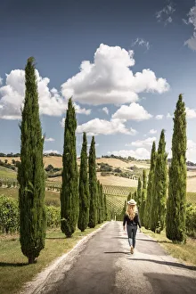 Woman walking through cypress trees and vineyards in Marche region, Italy Woman walking through cypress trees and vineyards in Marche region, Italy