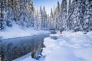 Woman in Winter Landscape, Emerald Lake, Yoho National Park, British Columbia, Canada Woman in Winter Landscape, Emerald Lake, Yoho National Park, British Columbia, Canada