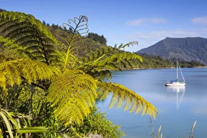 Yacht anchored in the picturesque Kenepuru Sound, Marlborough Sounds, South Island Yacht anchored in the picturesque Kenepuru Sound, Marlborough Sounds, South Island