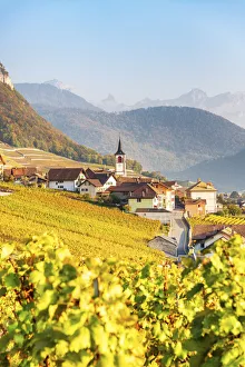 Yvorne, Canton of Vaud, Switzerland, Europe Yvorne, Canton of Vaud, Switzerland, Europe