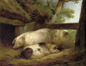 Prints of Artist: Morland, George - Title: Study of Pigs - Date: N/A - Original Medium and Size: Oil on Wood 29.2 x 38.1 George Morland Prints: Oil on Wood Print of Pigs Study