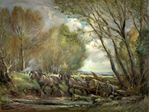 Hauling Timber, Stirlingshire, Scotland Hauling Timber, Stirlingshire, Scotland