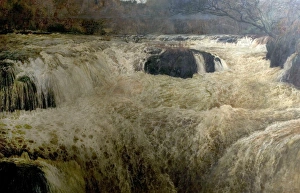 Salmon Leap, Cenarth Falls, Cardiganshire, Wales Salmon Leap, Cenarth Falls, Cardiganshire, Wales