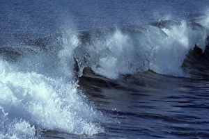 Close up of breaking wave. North Seymour Island, Galapagos Islands, Ecuador Close up of breaking wave. North Seymour Island, Galapagos Islands, Ecuador