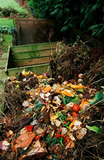 Gardening Tips Prints: A compost heap