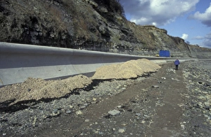 Coastal Erosion Prevention Methods Prints: Construction of wave return wall, Penarth, Cardiff, Wales, UK