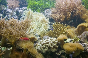 The Deep Europes deepest aquarium in Hull UK The Deep Europes deepest aquarium in Hull UK